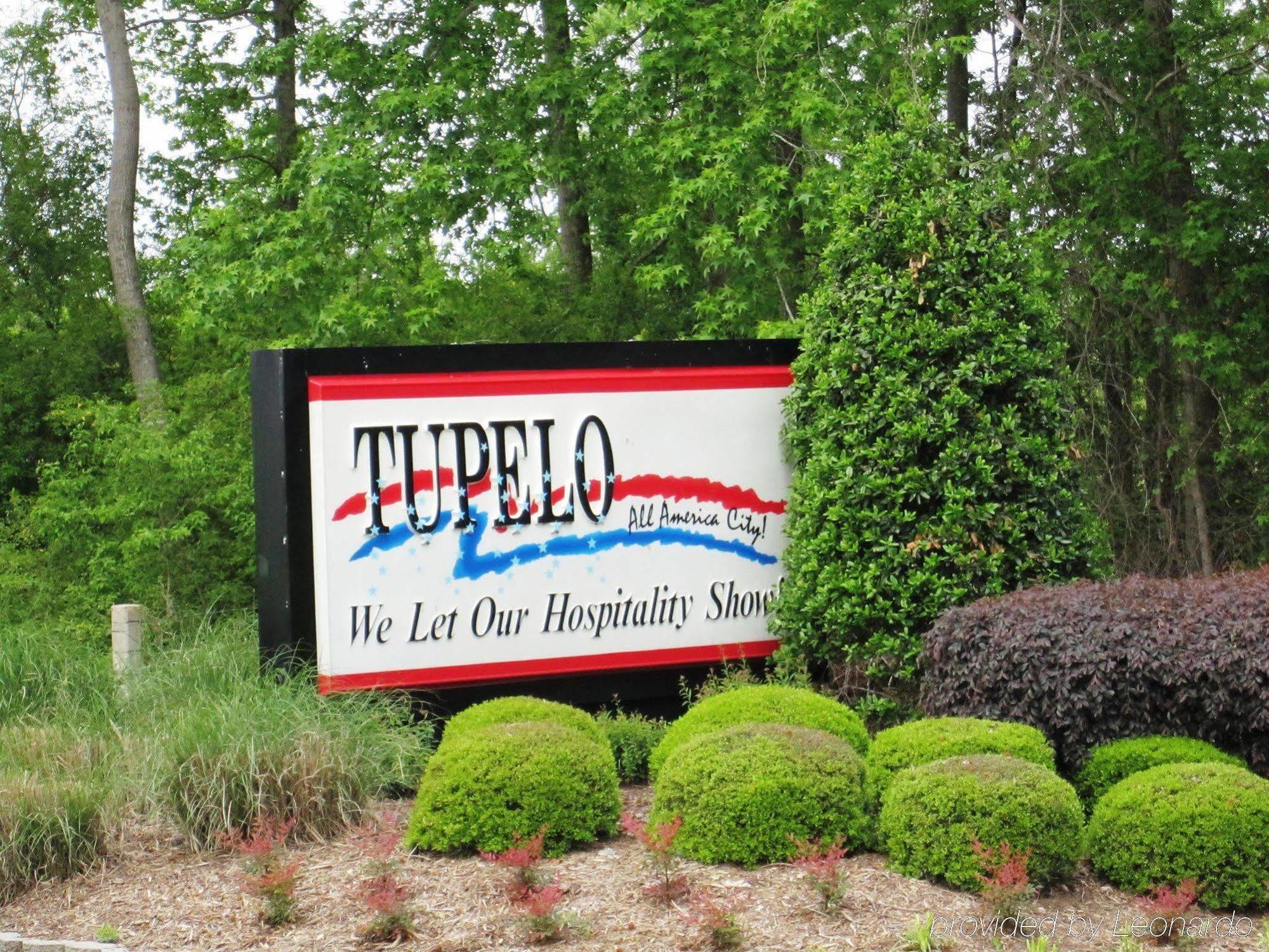 Hampton Inn & Suites Tupelo/Barnes Crossing Eksteriør billede